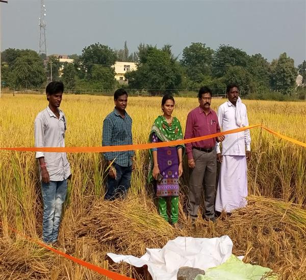 Jayashankar District                                                                                                                                                                                                                                       - Crop Cutting Expts.,                                                                                                                                   - Mahadevpur village
unit no:001
Expt:001
Mahadevpur mandal                                                                                                                                                                                                       - dt.26/11/2019          